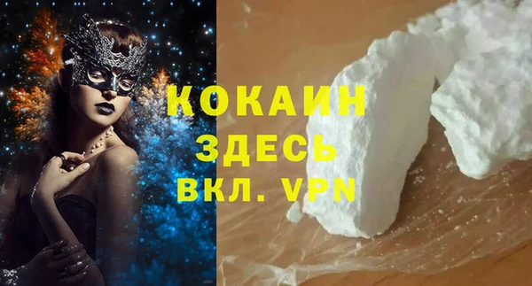 амф Алексин