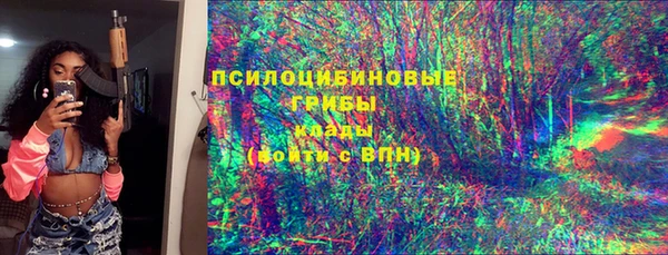 амф Алексин