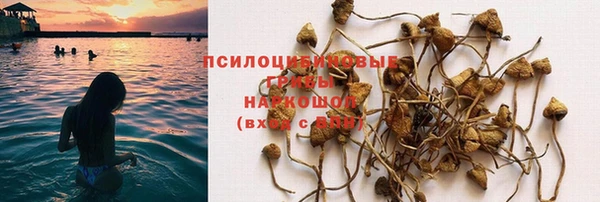 амф Алексин