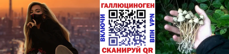Купить  Черепаново  Галлюциногенные грибы мухоморы 
